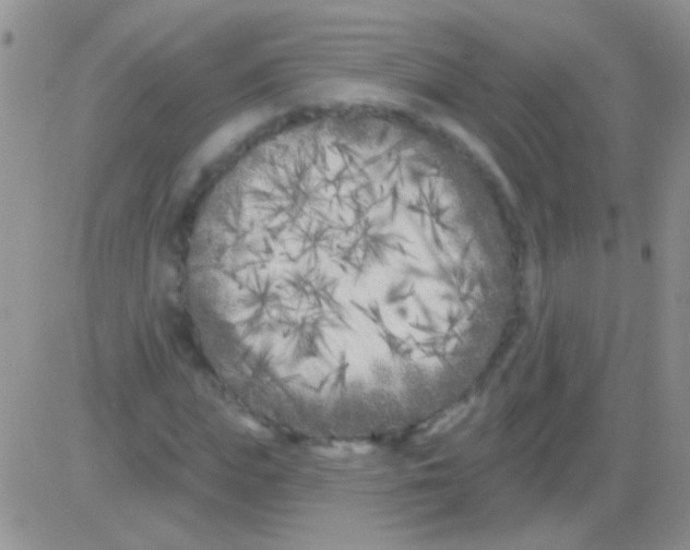 X0000082730823200702232345