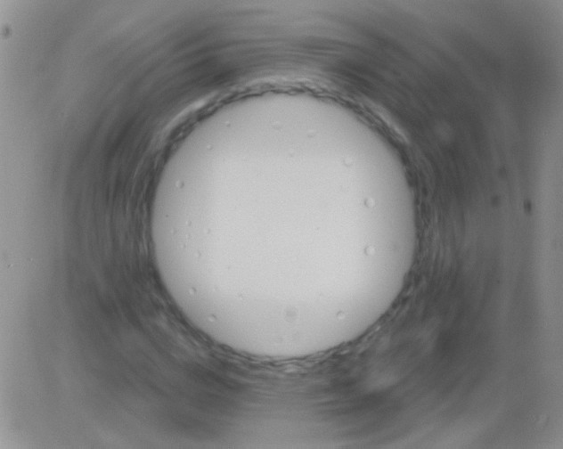 X0000082730824200702232345