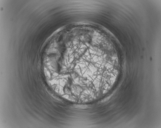 X0000082730825200702232345