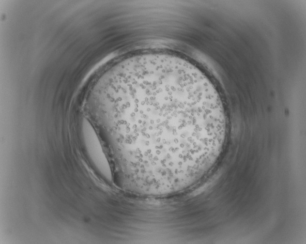 X0000082730827200702232345