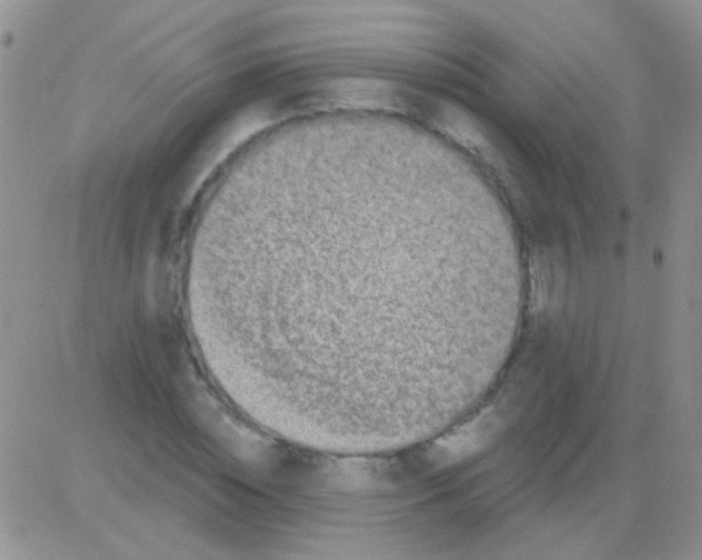 X0000082730828200702232345