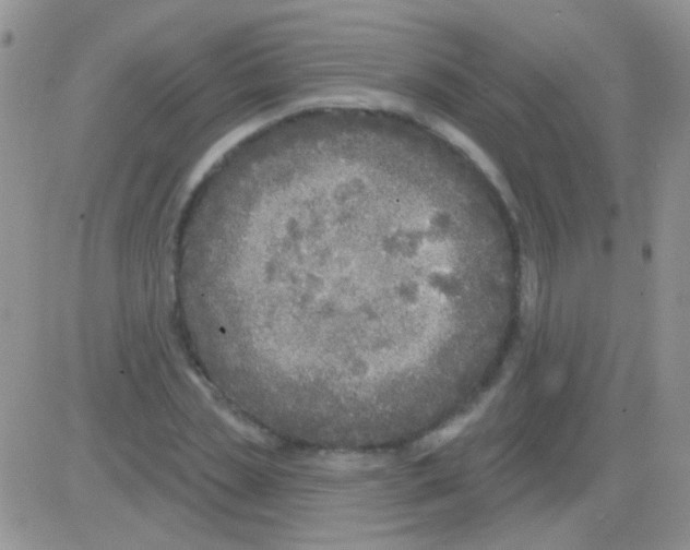 X0000082730829200702232345