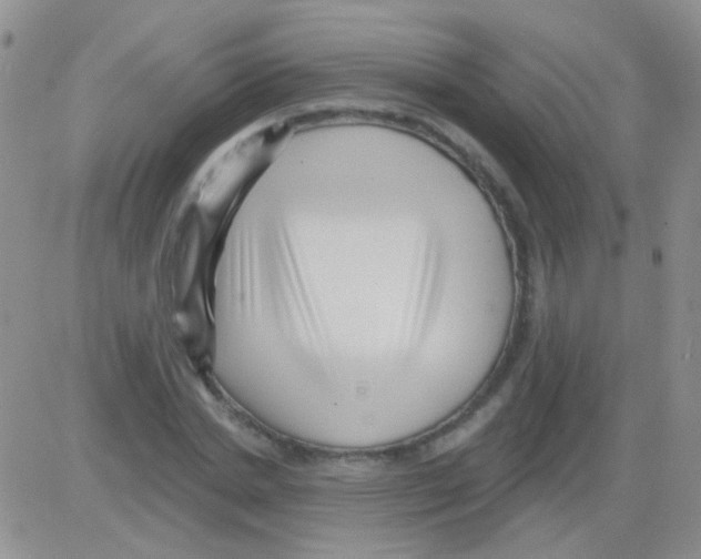 X0000082730830200702232345