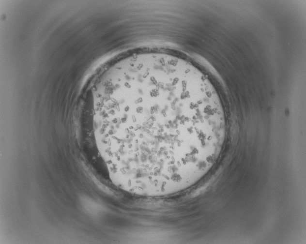 X0000082730831200702232345