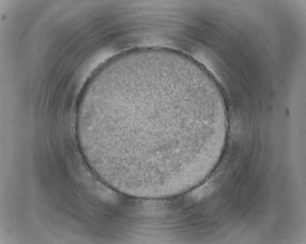 X0000082730832200702232345