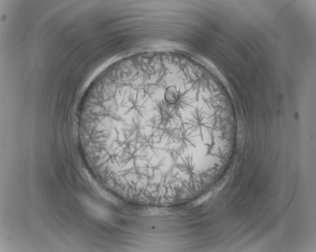 X0000082730835200702232345