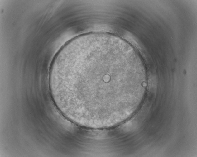 X0000082730836200702232345