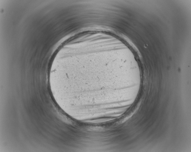 X0000082730837200702232345