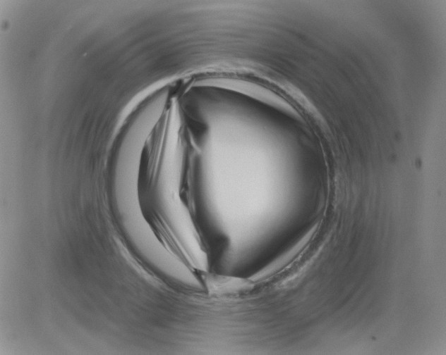 X0000082730838200702232345