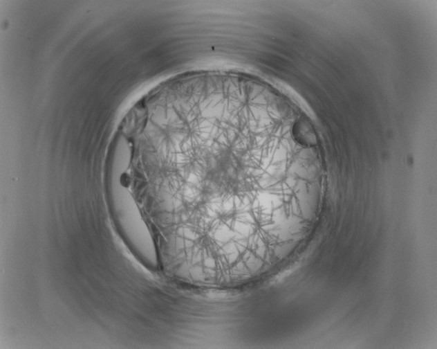 X0000082730839200702232345