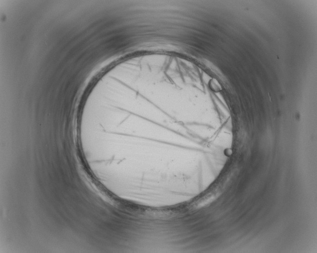 X0000082730840200702232345