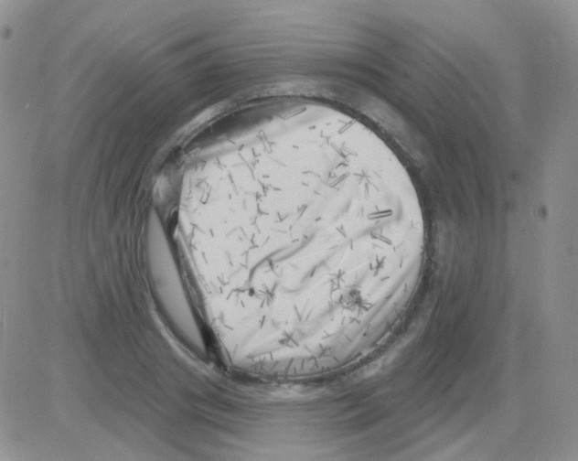 X0000082730841200702232345