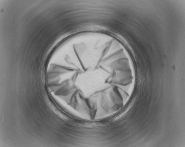 X0000082730843200702232345