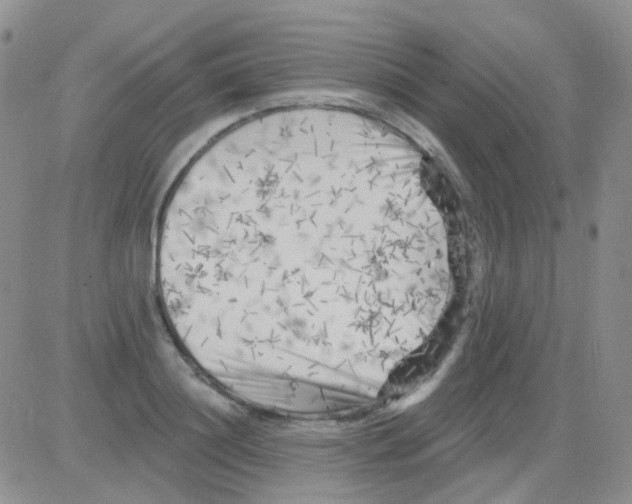 X0000082730844200702232345