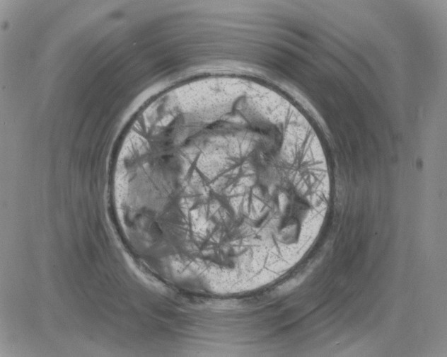 X0000082730845200702232345