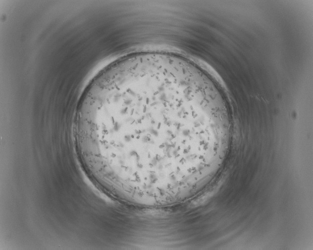 X0000082730847200702232345