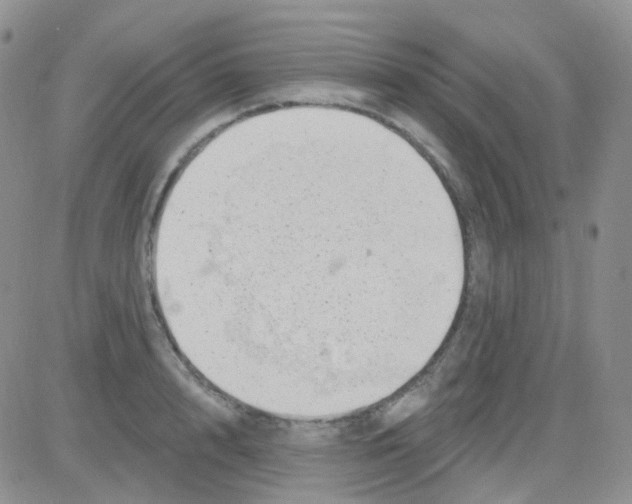 X0000082730848200702232345