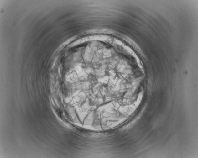 X0000082730849200702232345