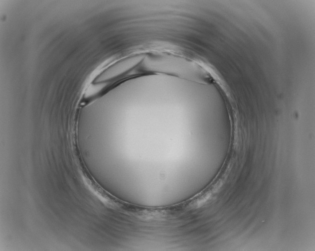 X0000082730850200702232345