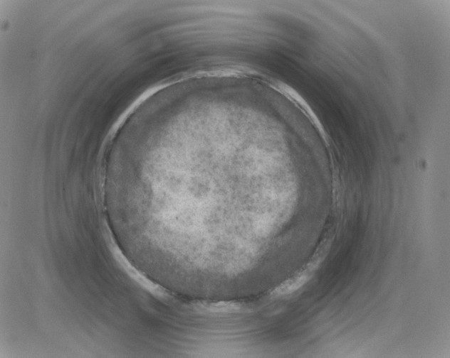 X0000082730851200702232345