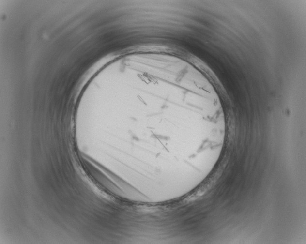 X0000082730852200702232345