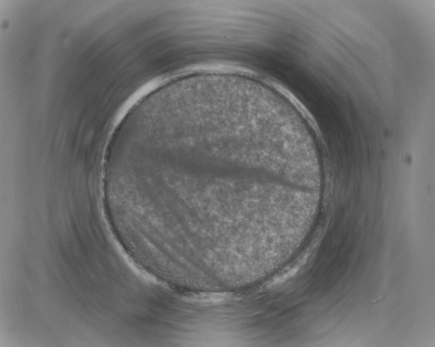 X0000082730853200702232345