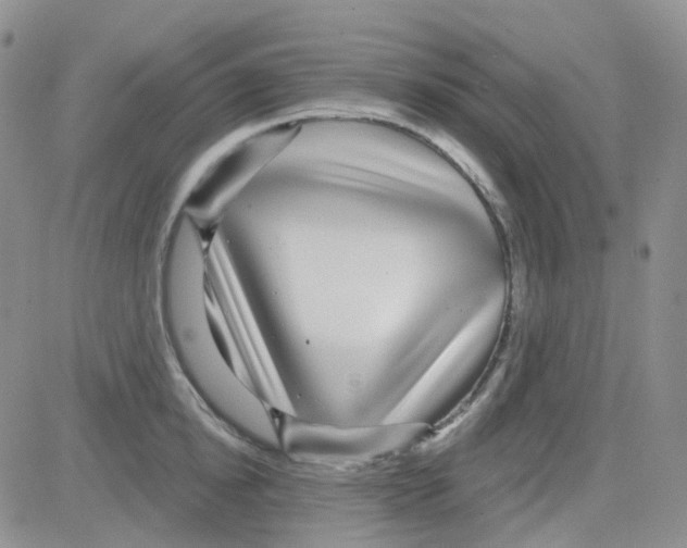 X0000082730854200702232345