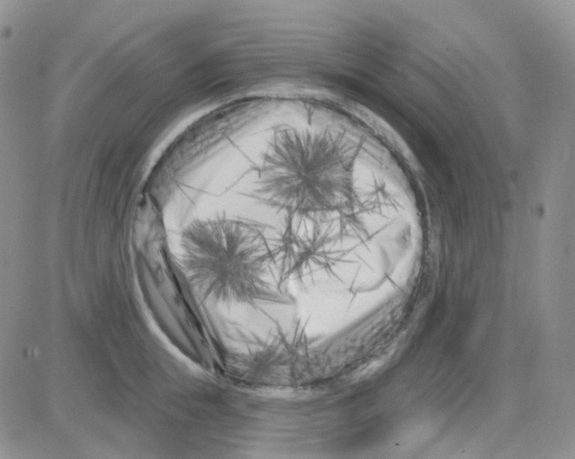 X0000082730855200702232345