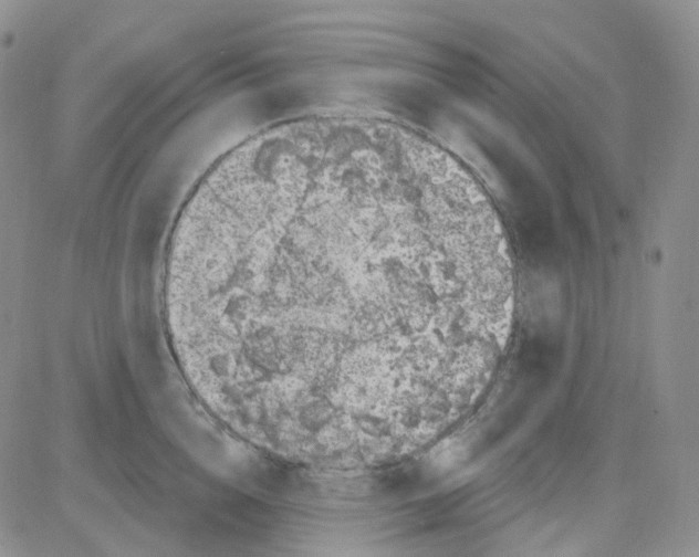 X0000082730856200702232345