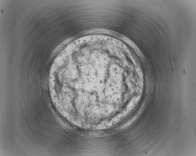 X0000082730857200702232345