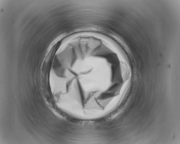 X0000082730858200702232345