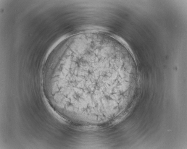 X0000082730859200702232345