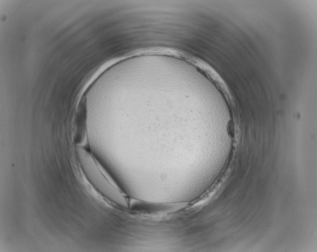 X0000082730860200702232345