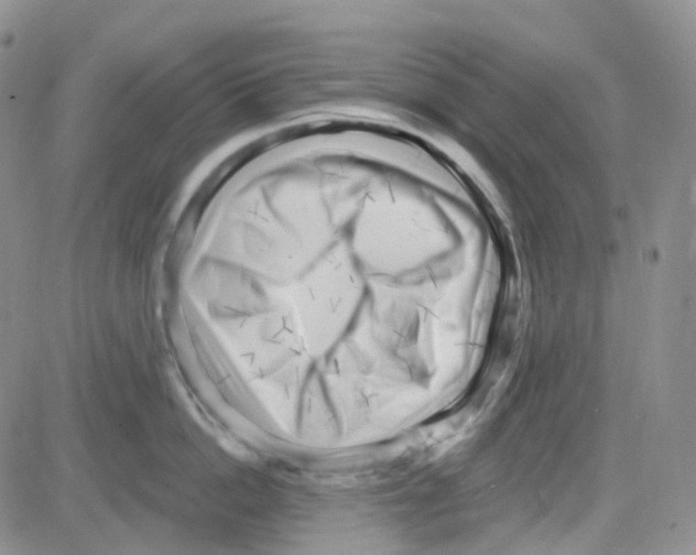 X0000082730862200702232345