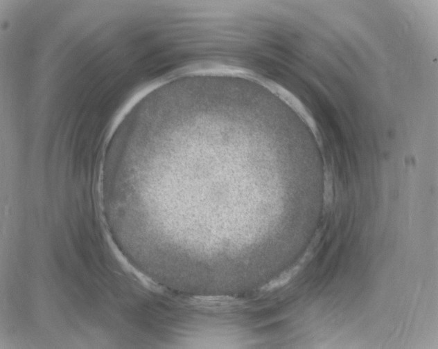 X0000082730863200702232345