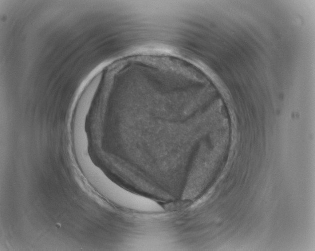 X0000082730864200702232345