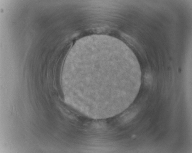 X0000082730865200702232345