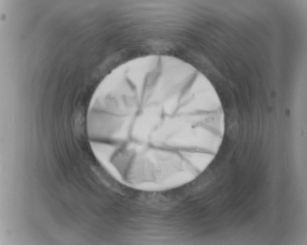 X0000082730866200702232344