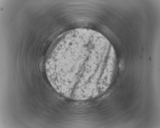 X0000082730867200702232344