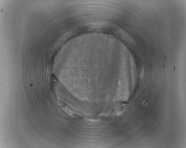 X0000082730868200702232344