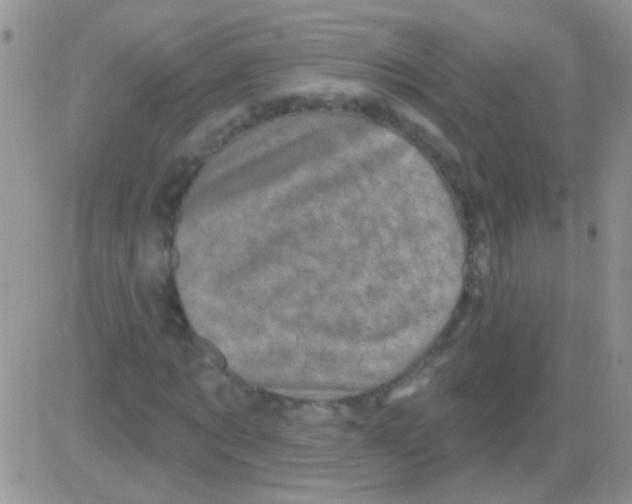 X0000082730869200702232344