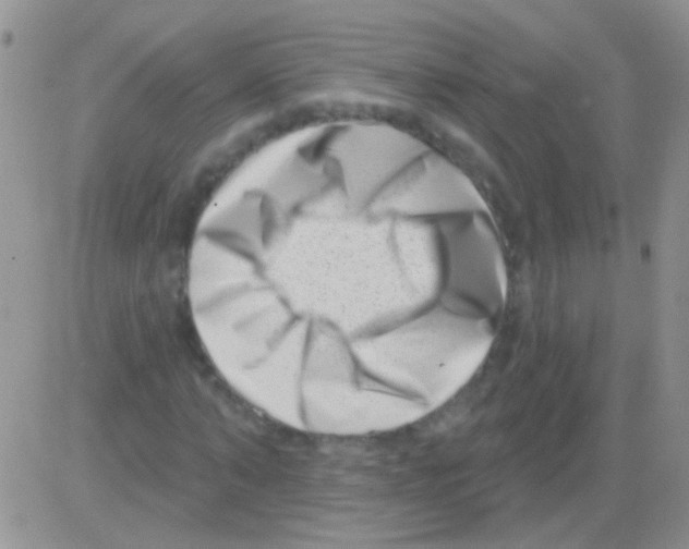 X0000082730870200702232344