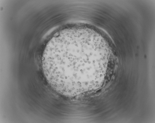 X0000082730871200702232344