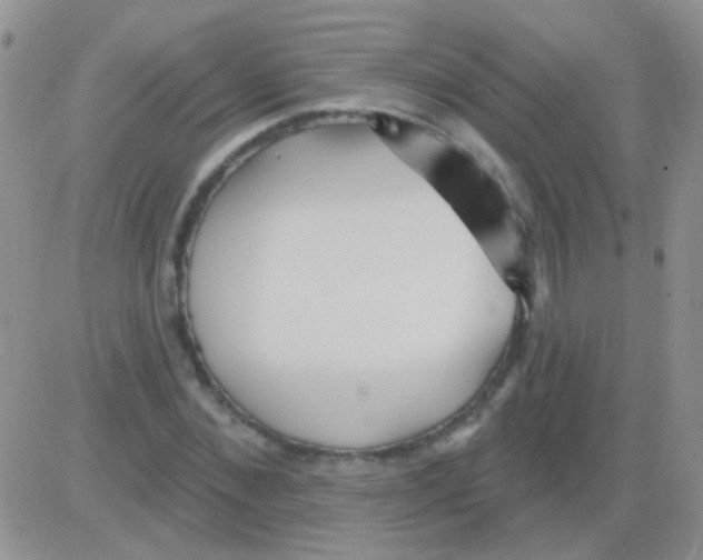 X0000082730876200702232344