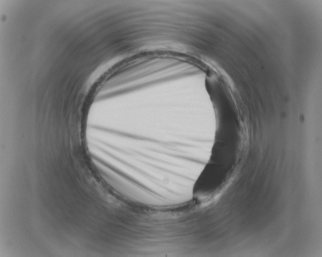 X0000082730877200702232344