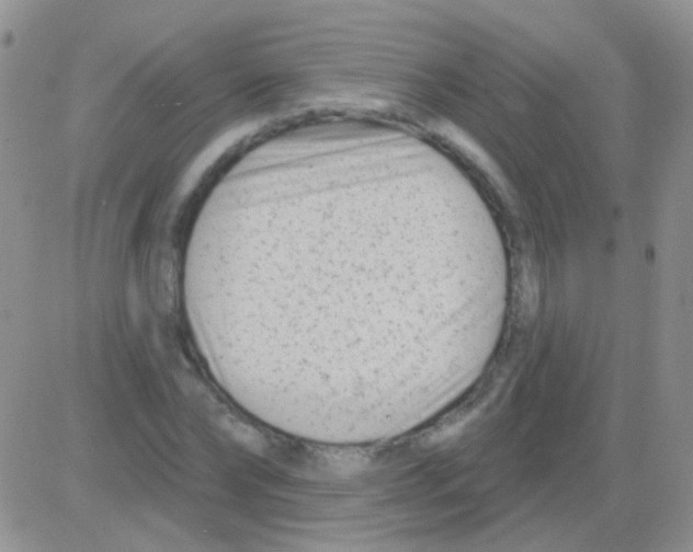 X0000082730878200702232344