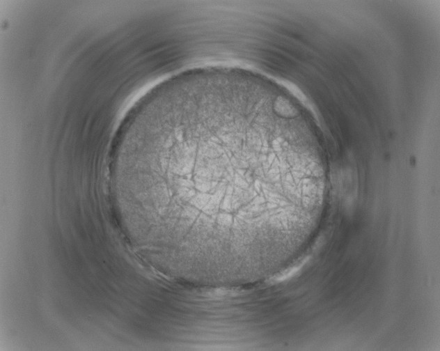 X0000082730879200702232344