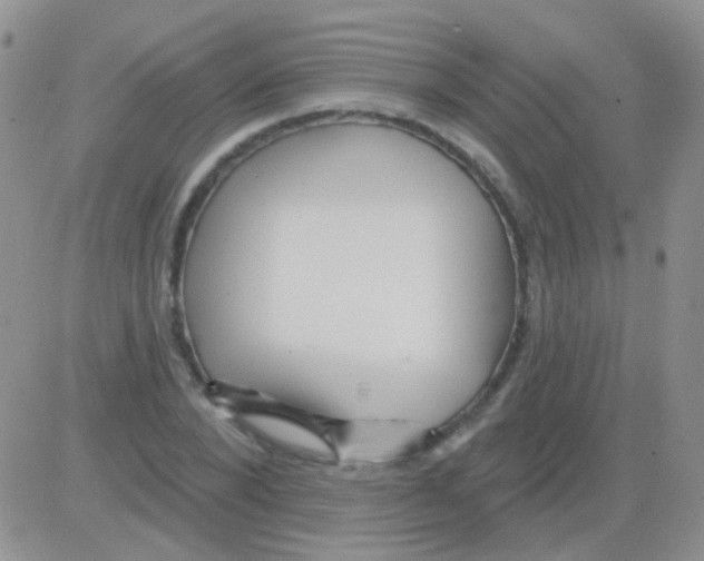 X0000082730880200702232344