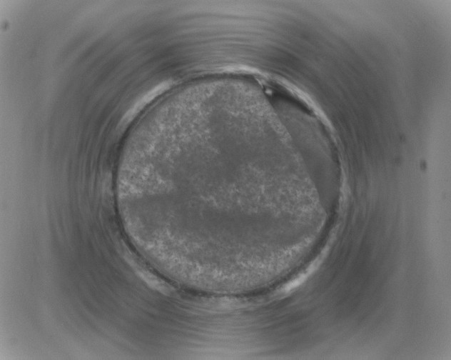 X0000082730881200702232344