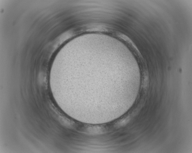 X0000082730882200702232344